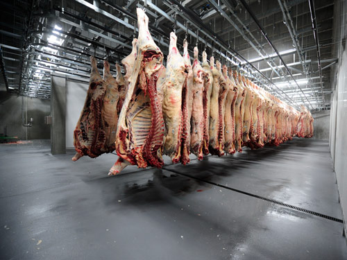 hygienic-flooring-75